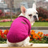 Bulldog Puppy Cat Pet Clothes Two-legged Clothing Knitting Wool Small Dogs Clothes